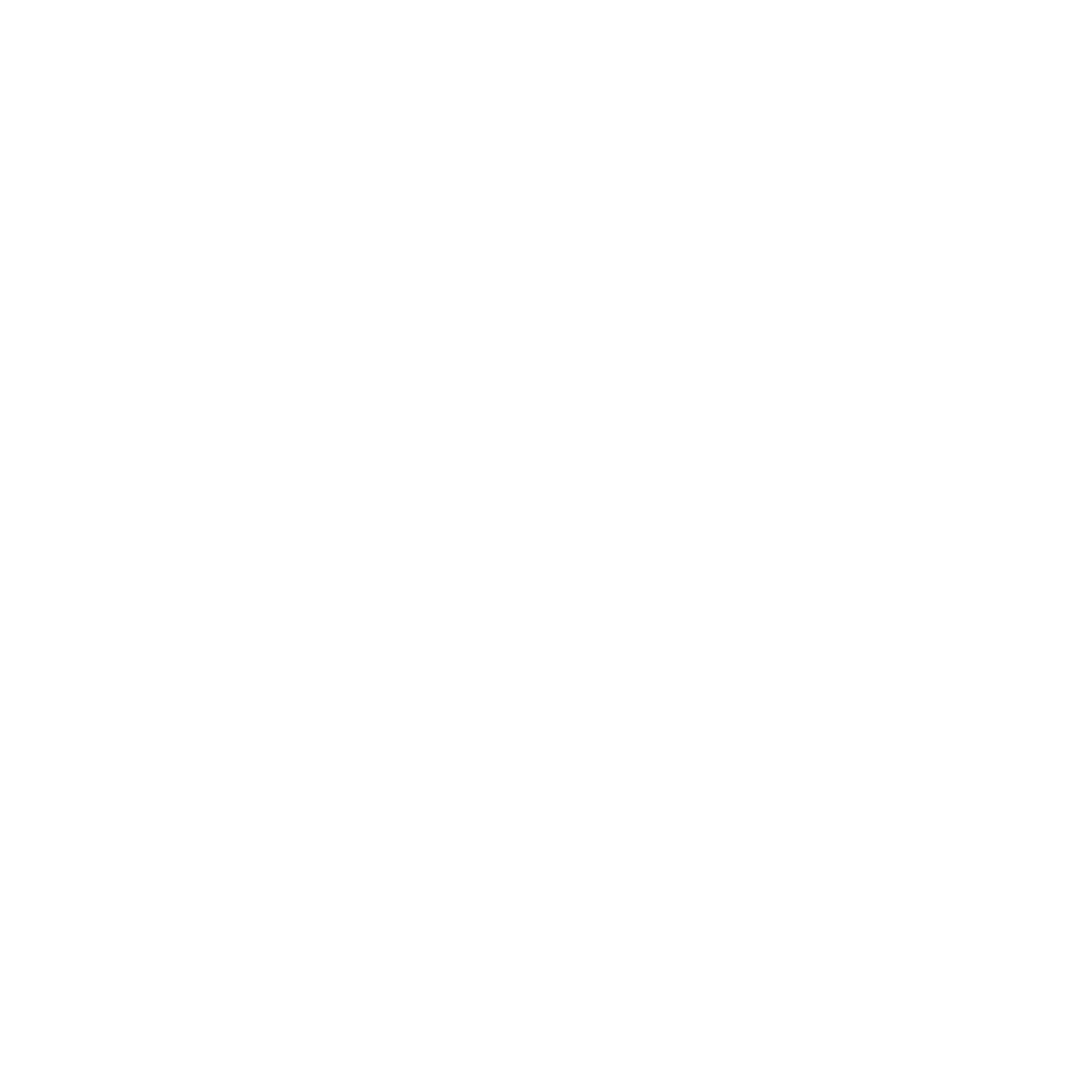 White Outline Icon