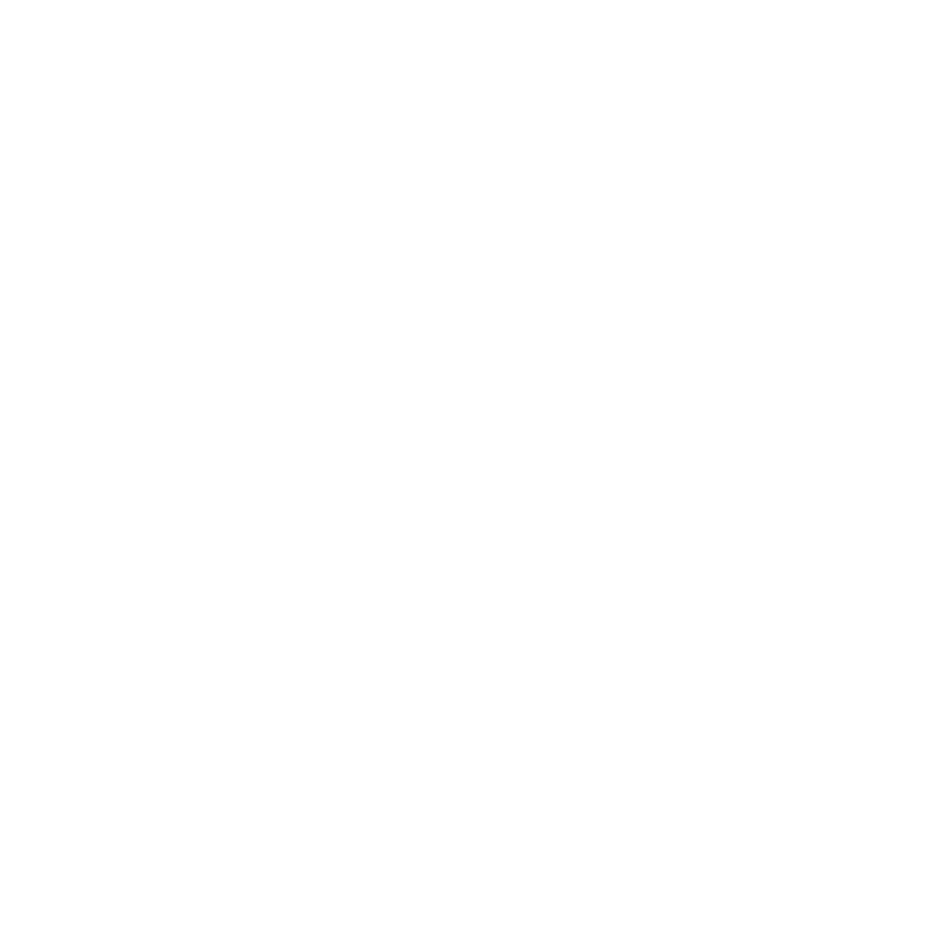 White-Filled Icon
